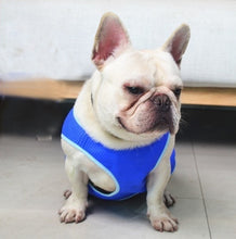 Load image into Gallery viewer, Summer Dog Cooling Vest Coat Sleeveless Puppy Jacket Pet Clothes Clothing for Dogs XS-L