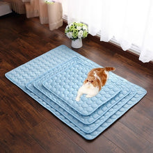 Load image into Gallery viewer, Pet Dog Cat Sleeping Pad Cool Mattress Cushion Ice Silk Pet Cooling Mat