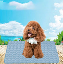 Load image into Gallery viewer, Pet Dog Cat Sleeping Pad Cool Mattress Cushion Ice Silk Pet Cooling Mat