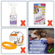 Load image into Gallery viewer, Pets Dogs & Cats Electronic Flea Comb for Kills, Stuns and Remove Lice & Eggs