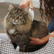 Load image into Gallery viewer, Pets Dogs & Cats Electronic Flea Comb for Kills, Stuns and Remove Lice & Eggs