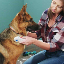 Load image into Gallery viewer, Pets Dogs & Cats Electronic Flea Comb for Kills, Stuns and Remove Lice & Eggs