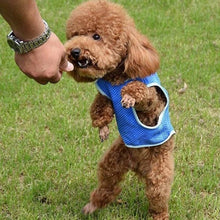 Load image into Gallery viewer, Summer Dog Cooling Vest Coat Sleeveless Puppy Jacket Pet Clothes Clothing for Dogs XS-L