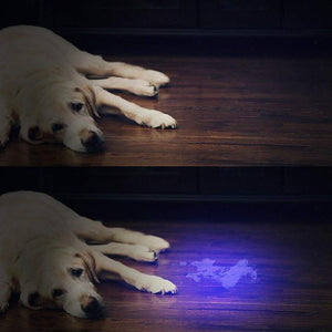 UV Flashlight 51 LED Ultraviolet Pet Urine Detector Bed Bug