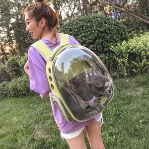 8 Colors High Quality Carrying Clear Pet Carrier Backpack Outdoor Travel Walking Waterproof Breathable Space Capsule Puppy Backpack
