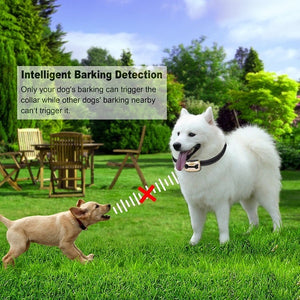 Rechargeable Anti Bark Control Collar Waterproof Ultrasonic Vibration Shock Pet Dog Training Collars