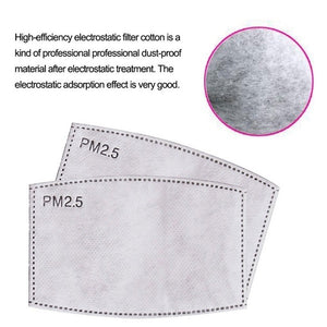 10Pcs/20 Pcs/50 Pcs 5 Layers Face Mask Filter PM2.5 Filter Activated Carbon Breathing Filters