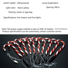 Load image into Gallery viewer, 6 Pcs Christmas Light Pathway Candy Cane Walkway Light Usb Powered Street Lamp
