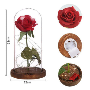 Enchanted Rose Beauty and the Beast Rose Preserved Rose with LED Light Valentine's Day Anniversary Gifts