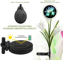 Load image into Gallery viewer, LED Solar Lily Flower Lights 2 Pack 8-Head 7 Color Changing Outdoor Garden Stake Lamps