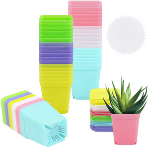 10 Pack 2.7 Inch Square Plants Nursery Pot Multi Color Plastic Plant Seedling Pots Flower Pots