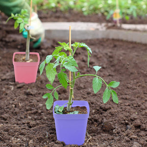 10 Pack 2.7 Inch Square Plants Nursery Pot Multi Color Plastic Plant Seedling Pots Flower Pots