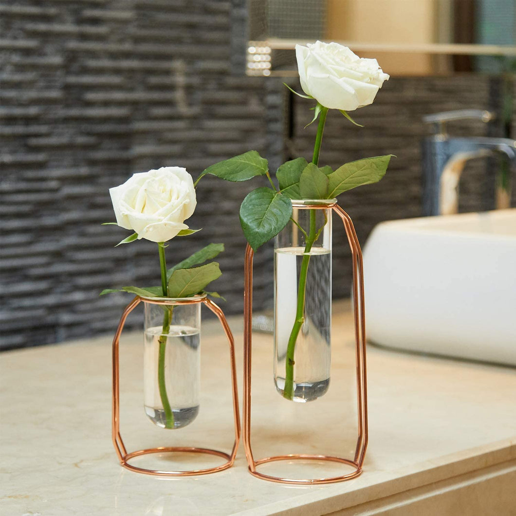 Set of 2 Centrepiece Vases with Metal Stand Cylinder Clear Vases for Flowers Decoration