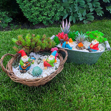 Load image into Gallery viewer, 5pcs Miniature Garden Gnomes Camping Gnome Kit