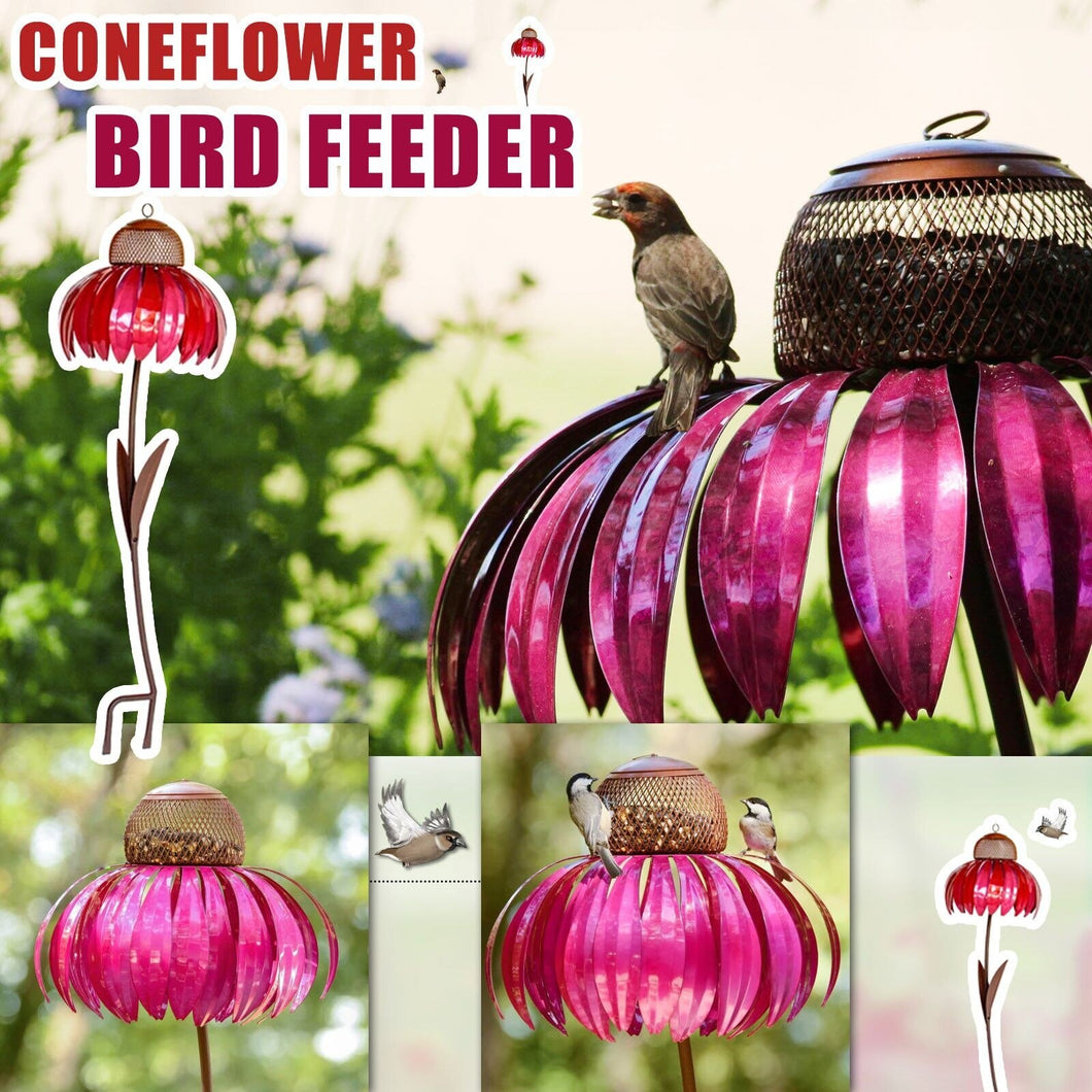 Sensation Pink Coneflower Bird Feeder