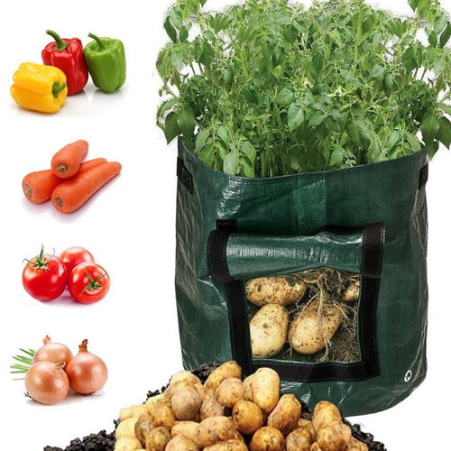 DIY Potato Grow Planter PE Cloth Planting Container Bag Vegetable Gardening Grow Bag