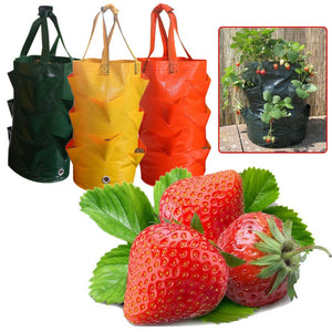 Strawberry Planting Growing Bag 3 Gallons Multi-mouth Container Bags Grow Planter