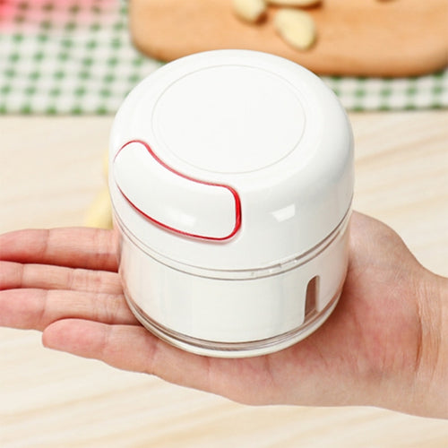 Mini Stainless Steel Garlic Press Portable Manual Chopper