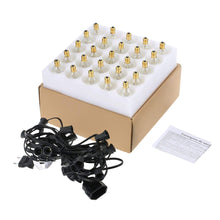 Load image into Gallery viewer, 25Ft G40 Globe Bulb String Lights With 25 Clear Ball Vintage Bulbs Indoor/Outdoor Hanging Umbrella Patio String Lighting