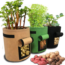 Load image into Gallery viewer, Nonwoven Cloth Pot Gardening Vegetable Potato Planter Bag
