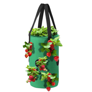 11 Hole Hanging Potato Strawberry Planter Bags