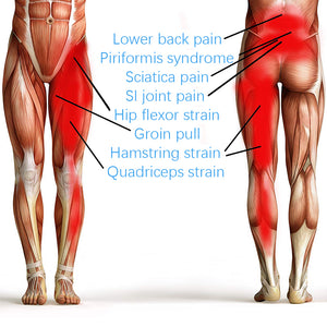 Hip Support Belt Groin Support Sciatica Pain Relief Protective Belt