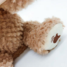 Load image into Gallery viewer, Peek A Boo Teddy Bear Toy