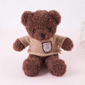 Recordable Talking Teddy Bear Toy